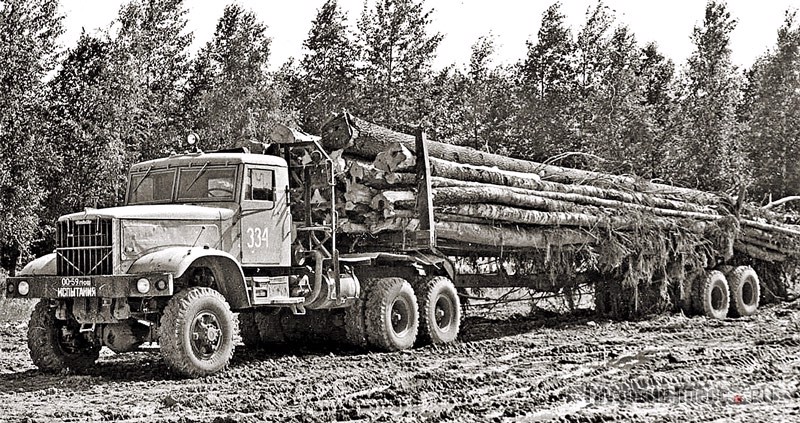В 1981–1982 гг. на Урале проходил испытания КрАЗ-6439 – модернизированный лесовоз на основе 6506 с шинами ИЯВ-12Б размерности 12,00-20, работавший в паре с роспуском ГКБ-9383 производства Тавдинского механического завода