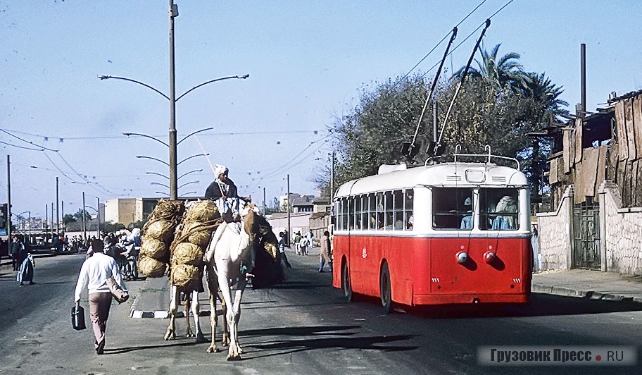 Троллейбус и его экологически чистый конкурент – верблюд, 1973 г.