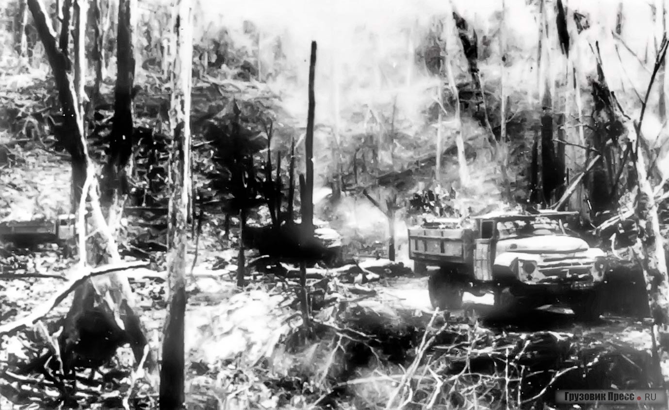 Обработанные американскими дефолиантами джунгли теряли листву, однако и отсутствие маскировки не останавливало вьетнамские ЗИЛы, 1974 г.