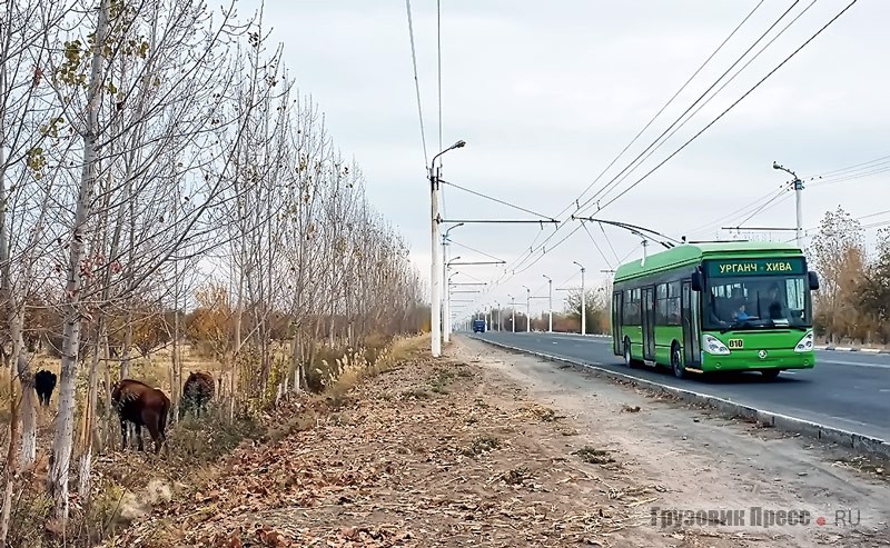 Бо’льшая часть маршрута пролегает среди бесхозных степей, которые в последние годы активно отдают под хлопковые угодья и частную застройку