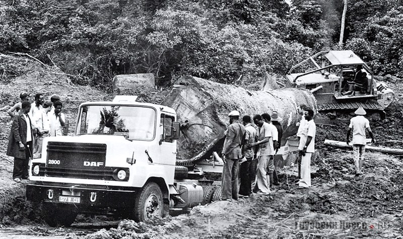 DAF NTT2800 с кабиной от «Магируса» на лесоразработках в Африке, 1980 г.