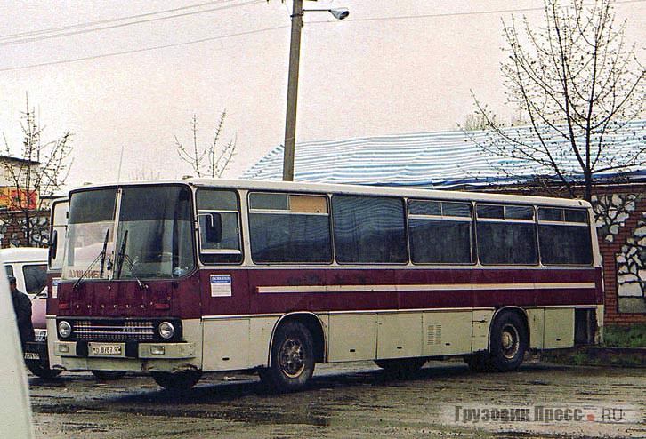 С советских времен на междугородных  маршрутах трудятся старички Ikarus-255, окрашенные в классический для тех лет бело-красный цвет