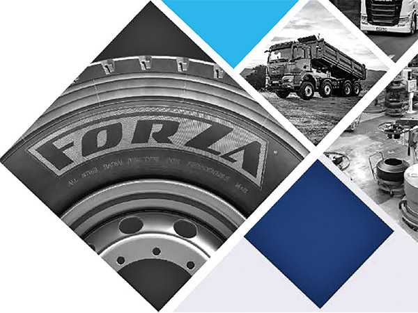 Синоним выгоды: FORZA