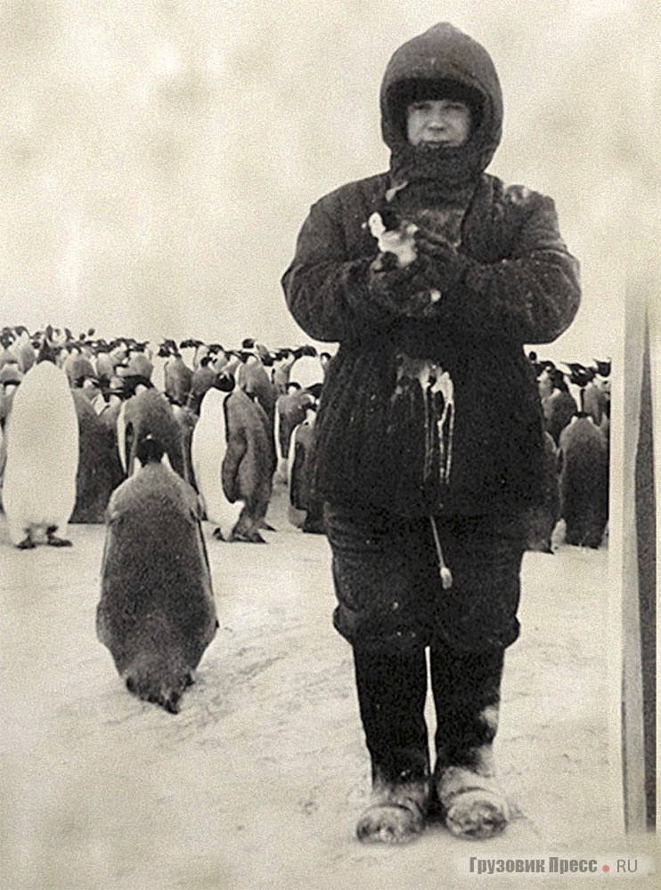 Аркадий Николаев в Антарктиде