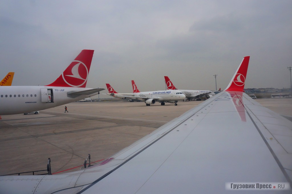 Кругом TURKISH AIRLINES - как никак, крупнейший авиаперевозчик Турции