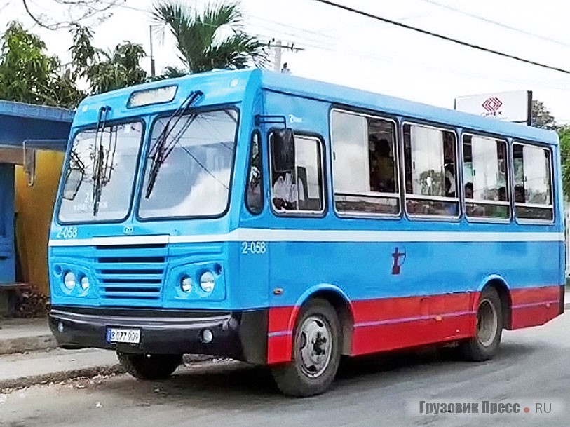 Автобусы Diana DG.01D на шасси ПАЗ-32053 в работе